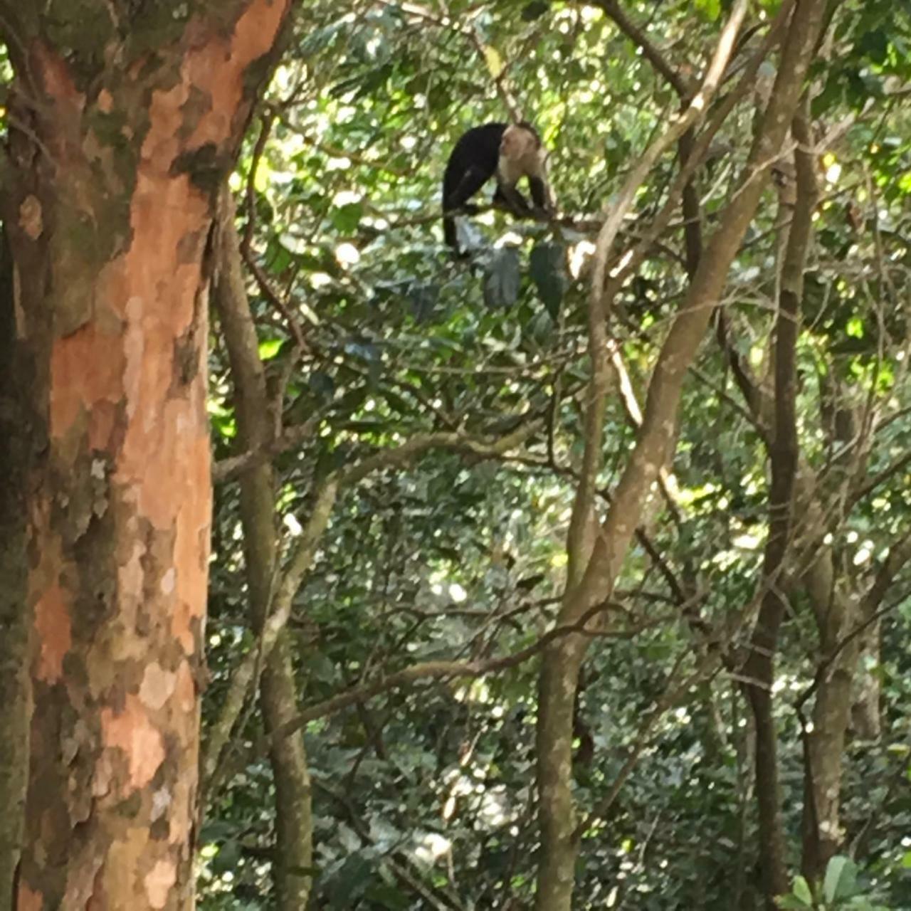 Globi Lodge #2 Monteverde 외부 사진